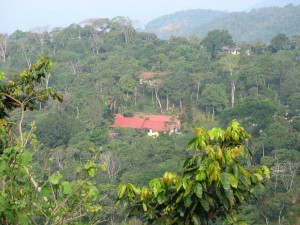 IMG_0924